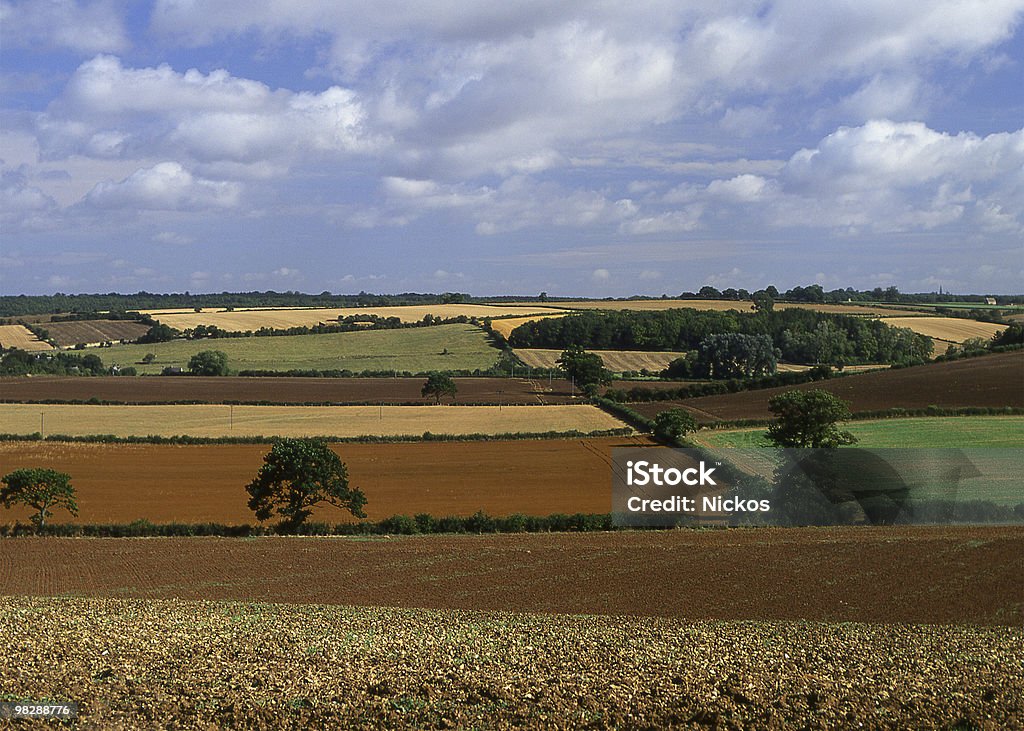 Countryside at Burford in Oxfordshire. England  Agricultural Field Stock Photo