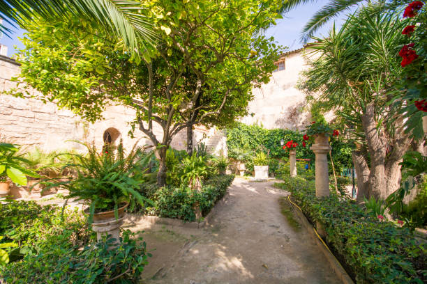 istock Beautiful garden at historic arab baths in Palma de Mallorca. 982889234