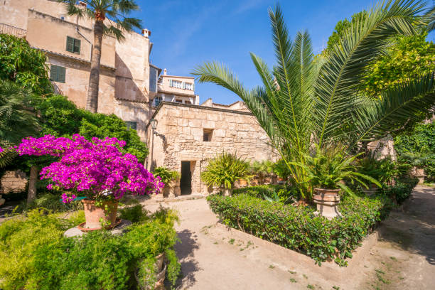 istock Beautiful garden at historic arab baths in Palma de Mallorca. 982889276