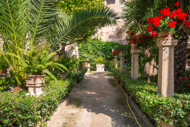istock Beautiful garden at historic arab baths in Palma de Mallorca. 982889342