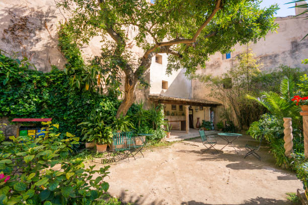 istock Beautiful garden at historic arab baths in Palma de Mallorca. 982889344