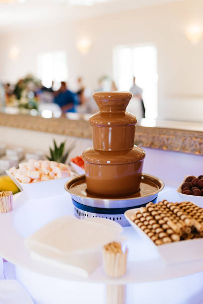 istock chocolate fountain with fruits 982895650