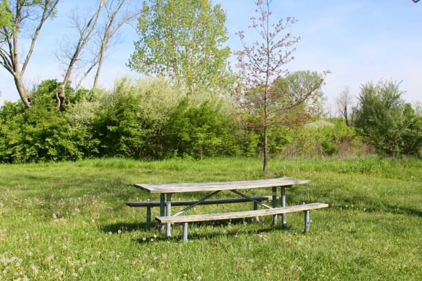 istock Old Wooden Picnic Table 982910924