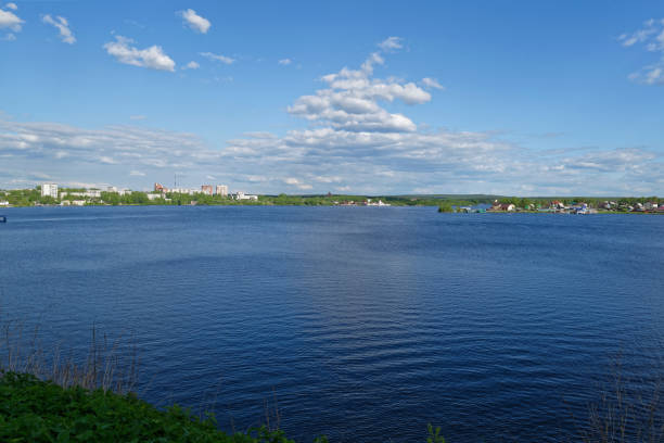 istock Summer landscape in a park by the lake 982914054