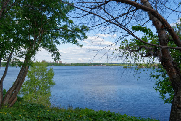 istock Summer landscape in a park by the lake 982914064