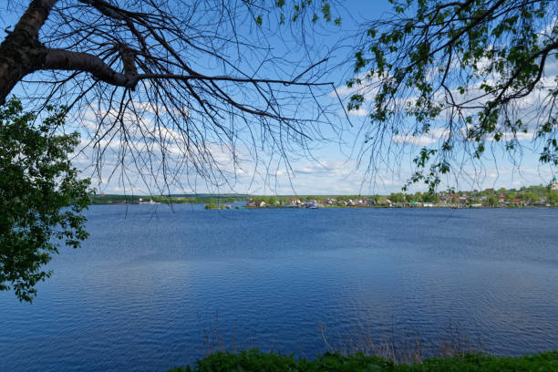istock Summer landscape in a park by the lake 982914066