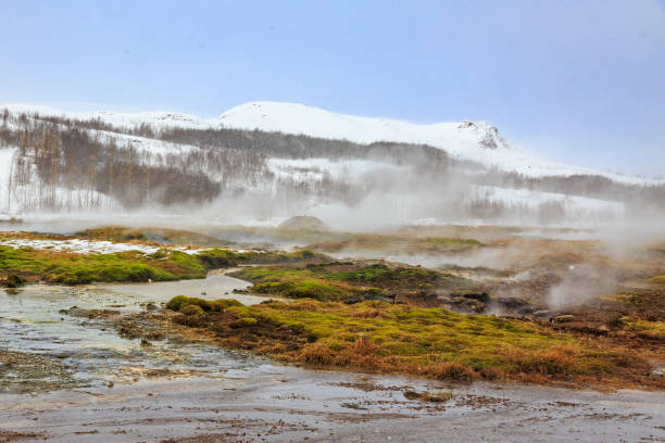 istock Geothermal landscape Strokkur Geysir, Iceland in Winter 982920896