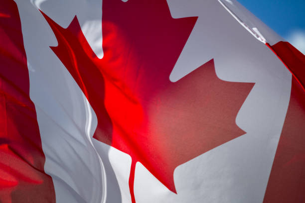 istock Flag of Canada which waving in the wind on sunny day 982943306