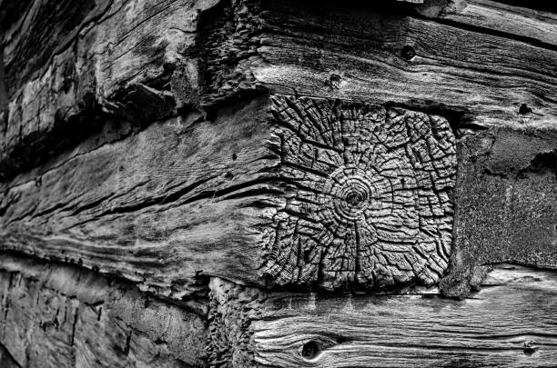 Black and white close-up end view of log cabin timbers at a corner