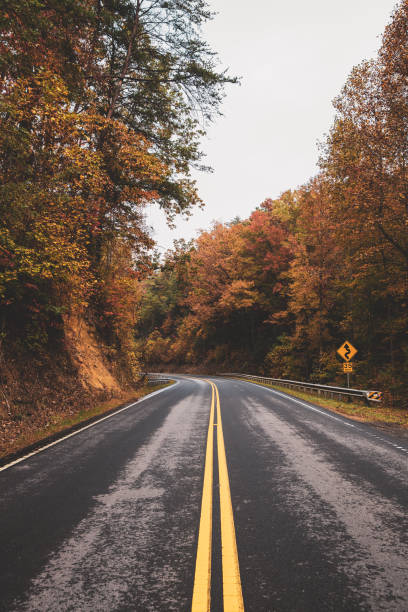 Blue Ridge Parkway road trip Nature shots during Autumn newfound gap stock pictures, royalty-free photos & images