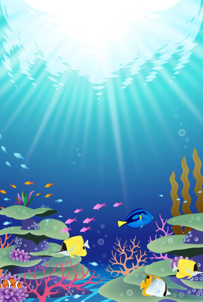 подводный мир с кораллами и тропическими рыбами - forcipiger flavissimus stock illustrations