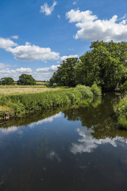 istock footpath river scenic summer lush green sunshine 982975794