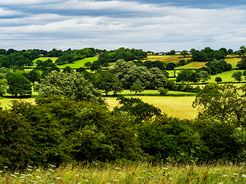 lush green english landscape fields farm agricultural land colour image english midlands