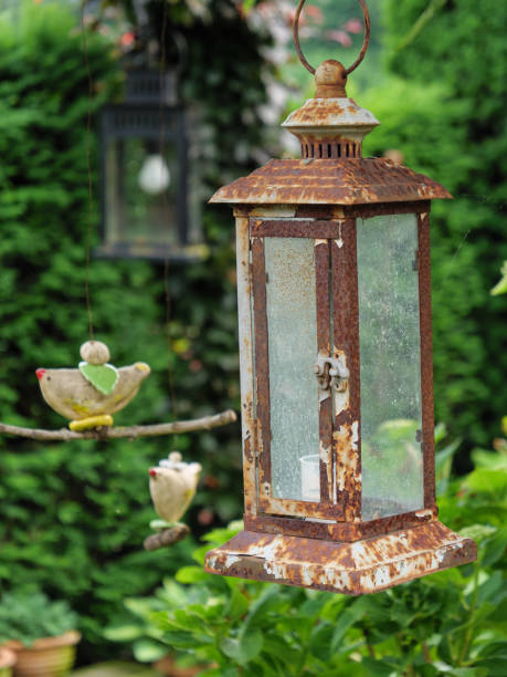 istock summer in the garden 982978918