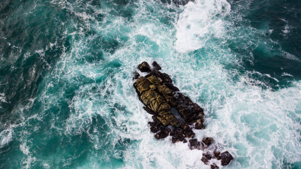 istock Coastal waters in the Big Sur road trip 982988554