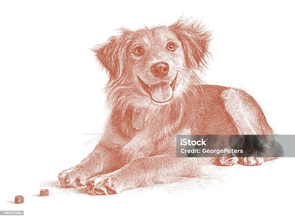 Golden Retriever, Collie mixed breed dog hoping to be adopted Stipple illustration of a Golden Retriever, Collie mixed breed dog in an animal shelter Anticipation stock vector