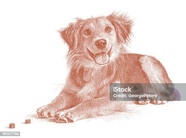 Golden Retriever Collie Mixed Breed Dog Hoping To Be Adopted Stock Illustration - Download Image Now