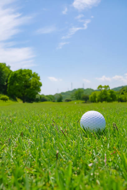 istock Golf Course where the turf is beautiful and Golf Ball on fairway. Golf course with a rich green turf beautiful scenery. 983024072