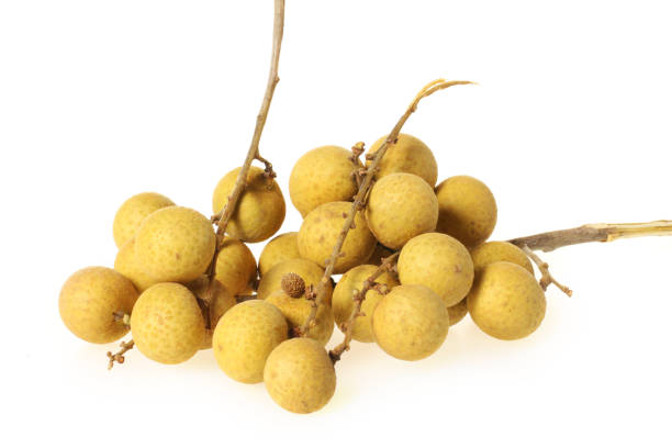 istock Fresh longan fruits isolated on white background 983024658