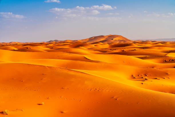 istock Sand dunes in the Sahara Desert - Morocco 983027720