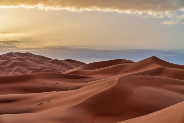 Sand dunes in the Sahara Desert - Morocco
