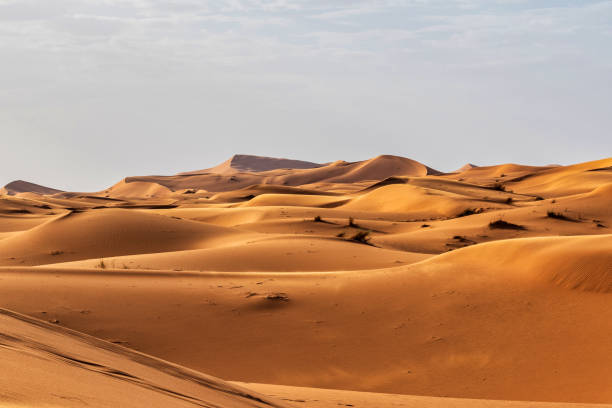 istock Sand dunes in the Sahara Desert - Morocco 983033496