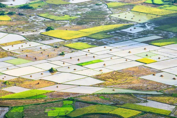 BacSon, LanSon privince,VietNam is very beautiful on July when the harvest season come with pouring water season.