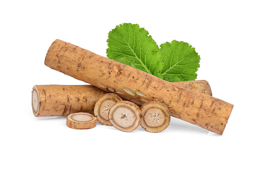 burdock roots or kobo with green leaves isolated on white background