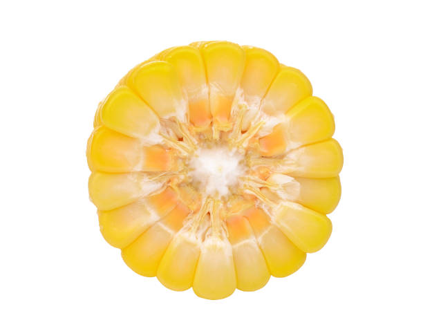 istock half cut of raw corn isolated on white background 983078816