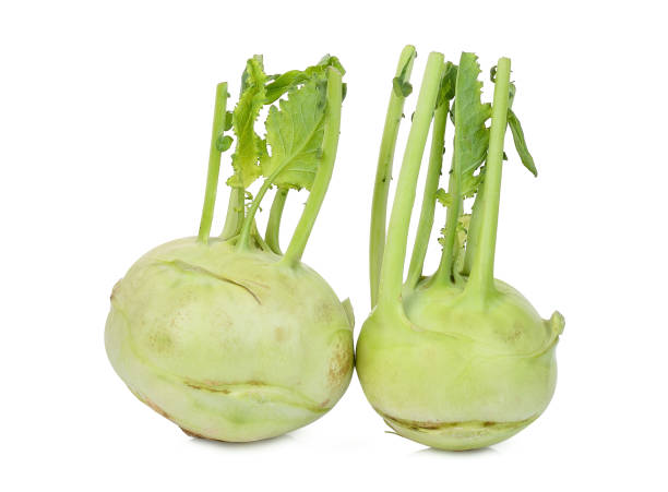 dos colinabos enteros aislados sobre fondo blanco - kohlrabi turnip kohlrabies cabbage fotografías e imágenes de stock