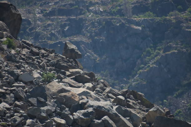 Rocks on the ridge Rocks on a ridge near Preston Falls in Stanislaus National Forest. stanislaus national forest stock pictures, royalty-free photos & images