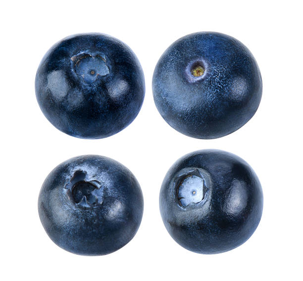 istock Blueberry collection isolated on white background 983102264