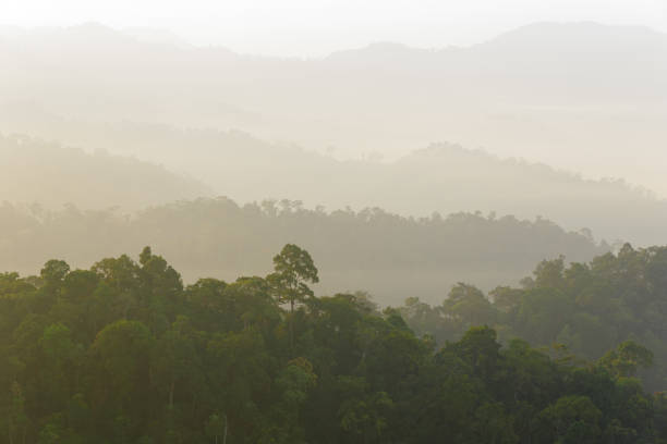 istock Kaeng Krachan National Park in Thailand 983108738