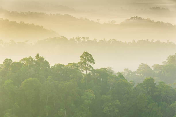 istock Kaeng Krachan National Park in Thailand 983108752