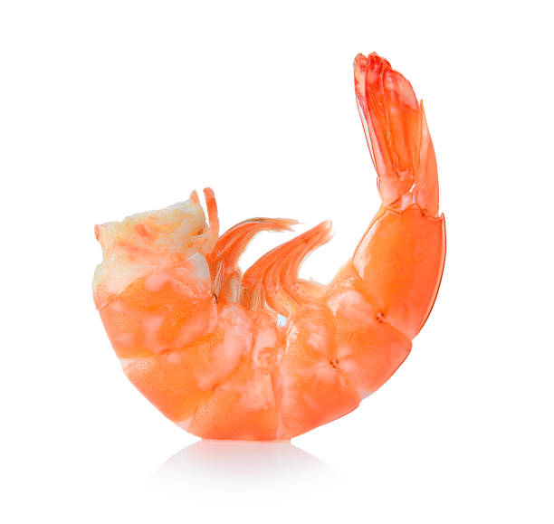 istock shrimps on a white background. with clipping path 983109432