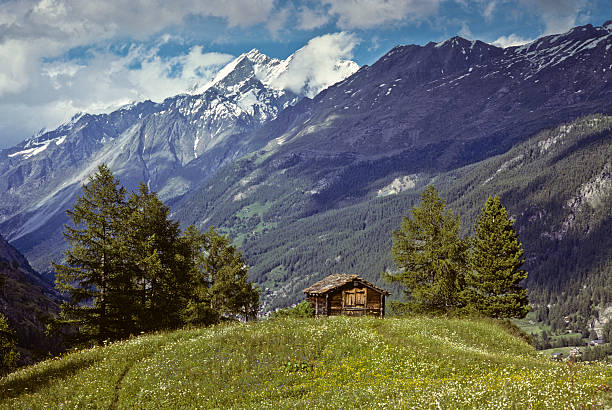 Alpine Cabin in a Meadow This alpine cabin was photographed on a wildflower filled hill in the Z'mutt Meadows near Zermatt, Valais Canton, Switzerland. jeff goulden switzerland stock pictures, royalty-free photos & images