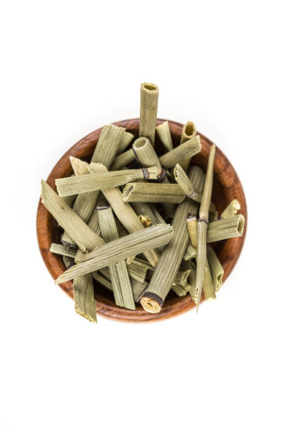 istock Dehydrated horsetail plant in a bowl isolated on a white background 983130424