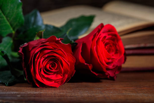 istock Vintage book and red roses 983133798