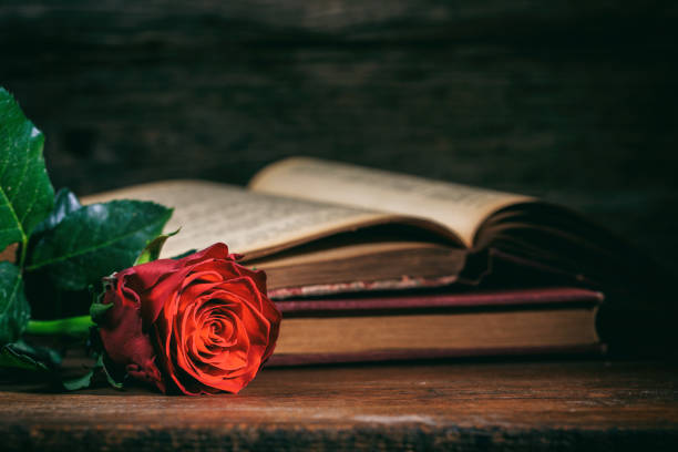 istock Vintage books and rose 983133824