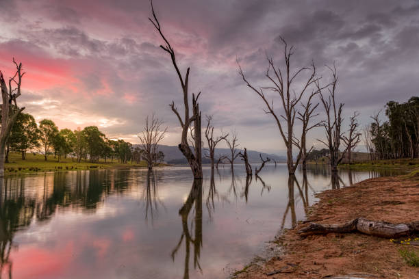 istock Sublime is the quietness on the lake at dusk 983138304