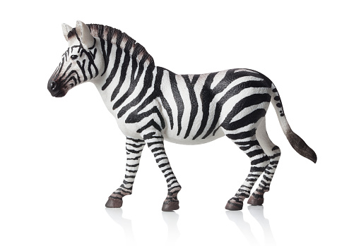 Zebra toy on white background.