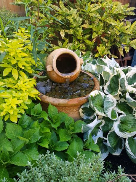 istock Garden fountain. 983158936