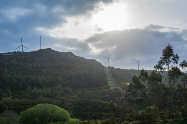 istock Galician forest landscape in Spain, on a sunny and cloudy day in spring 983207422