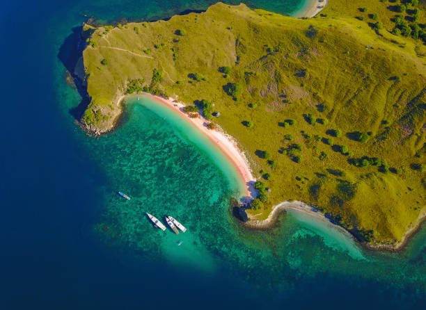 Aerial view of Pink Beach, near Flores Island Indonesia. Aerial view of Pink Beach, near Flores Island Indonesia lombok indonesia stock pictures, royalty-free photos & images