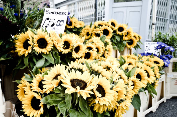 istock Sunflowers, Flower Market 983218540