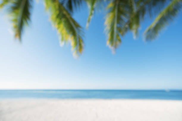 istock Tropical Paradise Beach Blurred Abstract Background 983223516