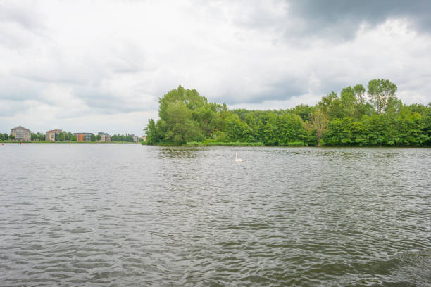 istock The shore of a lake in sunlight in spring 983223720