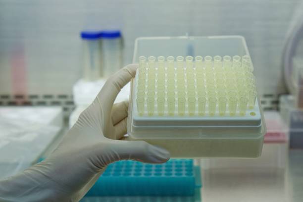 istock the equipment in the laboratory. this is a Pipette tips volume 1000uL using for the research of drugs or chemicals. 983224074