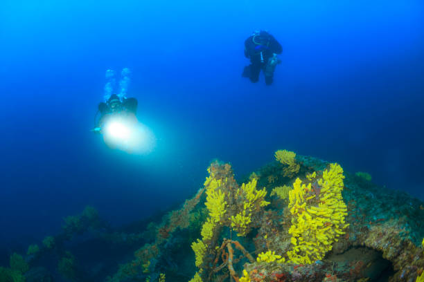 istock Technical Diving Scuba diver Exploring and enjoying Wreck diving over a shipwreck  Sea life  Diving couple  Water sports  Techdive Scuba diver point of view 983228324