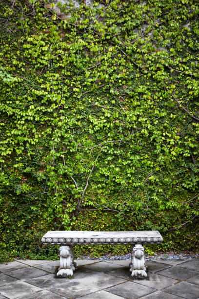 istock Bench in garden backyard, garden decoration 983235500
